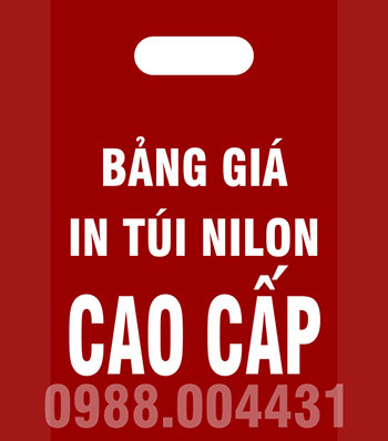 Bảng giá in túi nilon cao cấp tại hải phòng