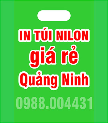 Công ty in túi nilon tại Quảng Ninh